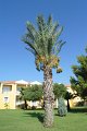 Majesty Palm Beach Side Antalya - 0056